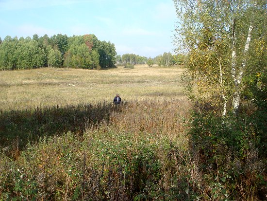 torp 2014 5.jpg (96229 bytes)
